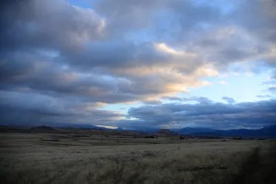 DSC_2955 (Large).JPG